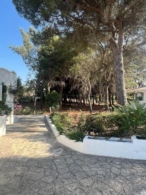 Villa Bouganville 2 Ostuni Exterior foto